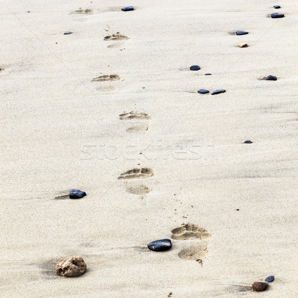 footprints on the beach  Stock photo © meinzahn