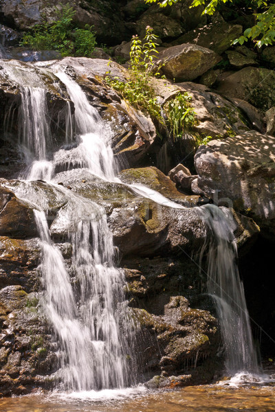 beautiful natural waterfall Stock photo © meinzahn