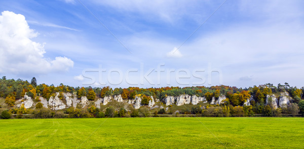 Skała dwanaście drzew dziedzinie rock jesienią Zdjęcia stock © meinzahn
