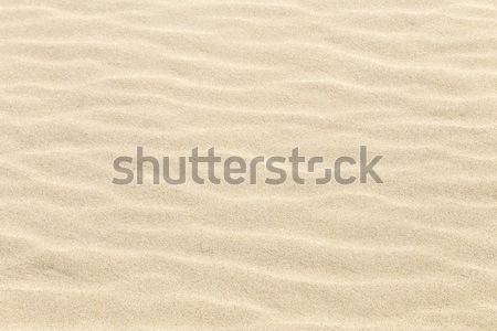 harmonic pattern of sandy beach  Stock photo © meinzahn