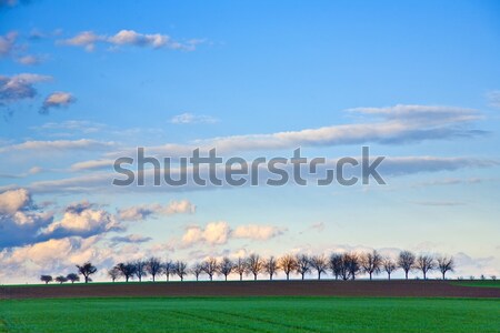 rural landscape in Munich with new settlement and fields Stock photo © meinzahn