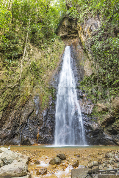 Ilha Dominica ocidente profundo floresta água Foto stock © meinzahn