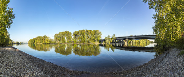Snelweg brug kruisen rivier hoofd- bomen Stockfoto © meinzahn