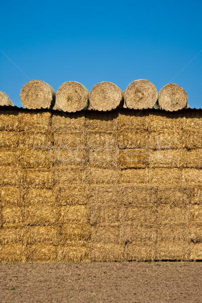 bale of straw with blue sky Stock photo © meinzahn
