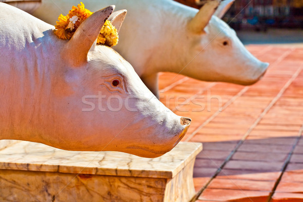 beautiful statue of pigs as gods dressed with flowers  in temple Stock photo © meinzahn