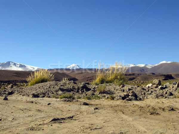 Stock photo: Panorama of Mountain in Atacama Desert Chile