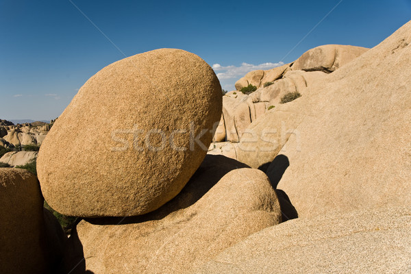 Scenic rocks and trees in Joshua tree national park Stock photo © meinzahn