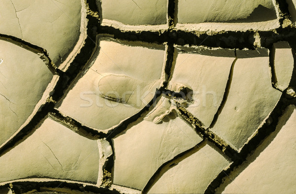Yalınayak kurutulmuş toprak çöl su ayaklar Stok fotoğraf © meinzahn