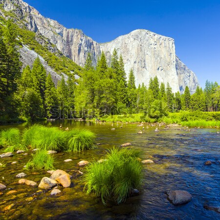 Stock photo: Merced River at Yosemite National Park 