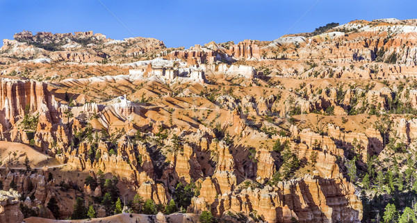 beautiful landscape in Bryce Canyon with magnificent Stone forma Stock photo © meinzahn