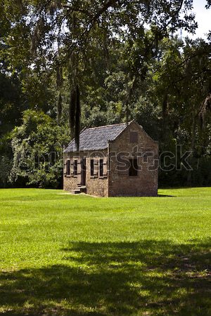 old slave huts in a South Carolina farm Stock photo © meinzahn