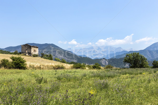 landscape in the Provence with view to the Alps Stock photo © meinzahn