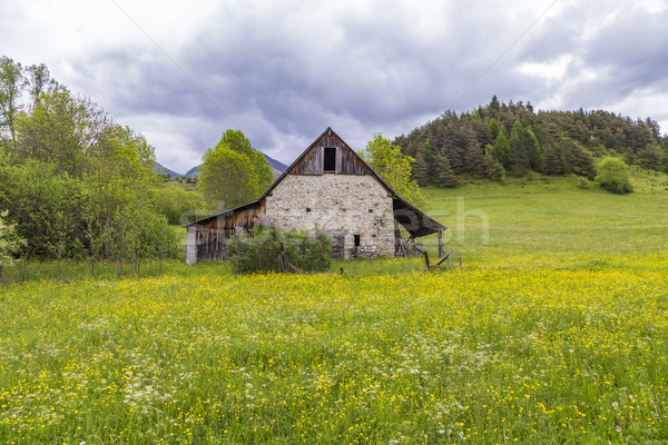 meadow with hut near le Vernet at col Mirabeau Stock photo © meinzahn
