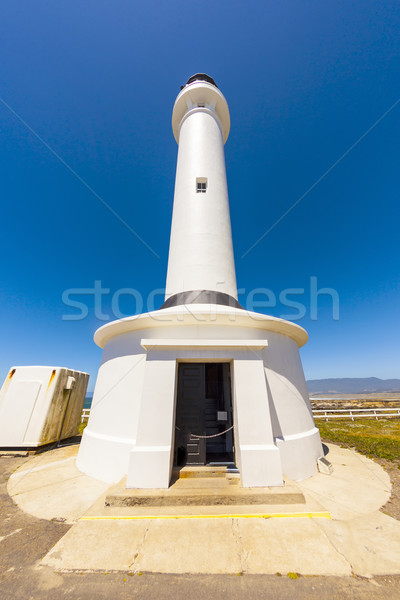 famous Point Arena Lighthouse in California Stock photo © meinzahn