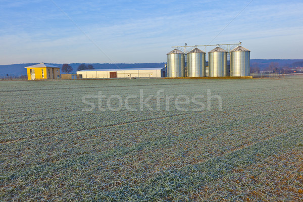 silos in the middle of a field in wintertime Stock photo © meinzahn