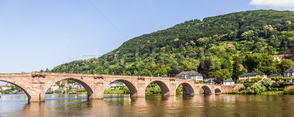 Old bridge in Heidelberg - Germany  Stock photo © meinzahn