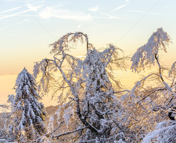 日出 冬天 山 景觀 美麗 商業照片 © meinzahn