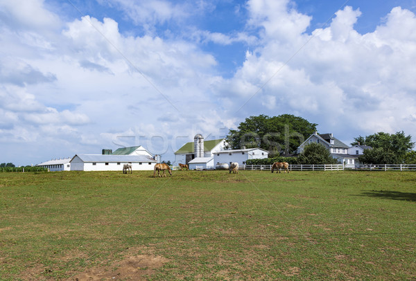 Stock fotó: Farm · ház · mező · naplemente · tájkép · fák