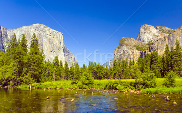 Merced River at Yosemite National Park  Stock photo © meinzahn