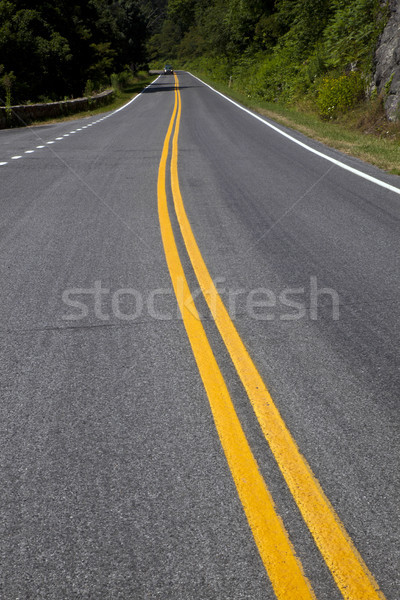 Beautiful scenic country road curves through Shenandoah  Nationa Stock photo © meinzahn