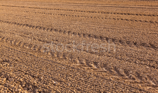 mark of tire on field   Stock photo © meinzahn