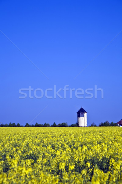 water tower in beautiful landscape with blue sky Stock photo © meinzahn
