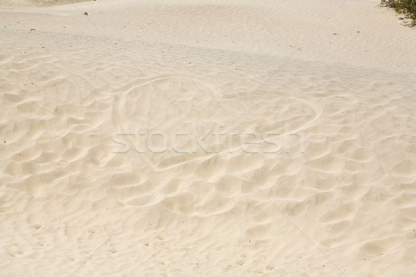 Stock photo: heart is painted in the sand of the desert