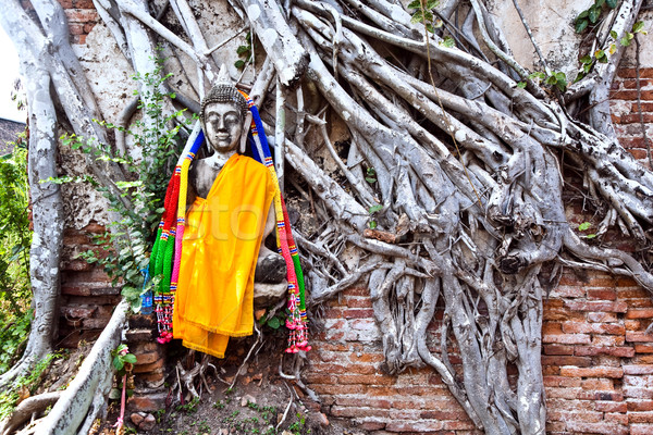 buddha covered by roots in temple area Wat Phra Si Sanphet Stock photo © meinzahn