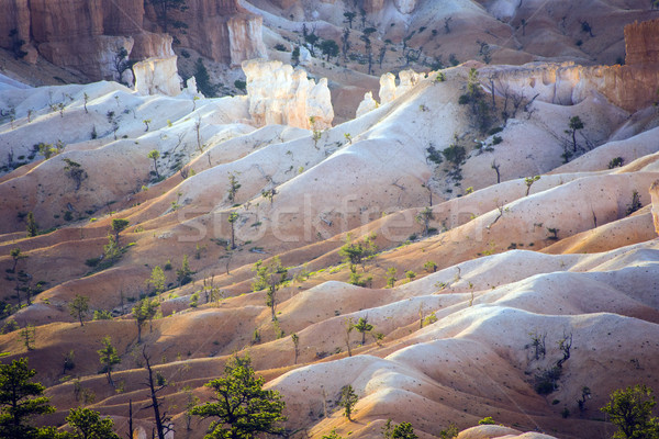 Beautiful landscape in Bryce Canyon with magnificent Stone formation like Amphitheater, temples, fig Stock photo © meinzahn
