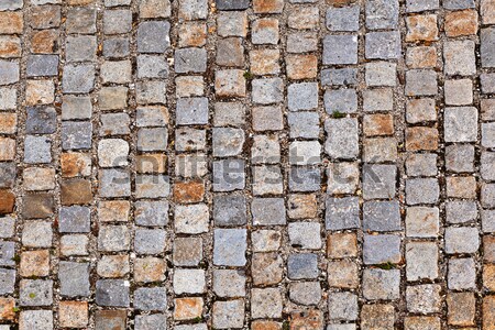 cobble stone path   Stock photo © meinzahn