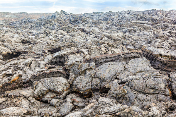 coast with Stones of volcanic flow   Stock photo © meinzahn