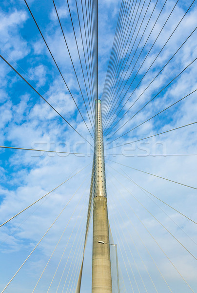 Ting Kau Bridge in Hong Kong Stock photo © meinzahn
