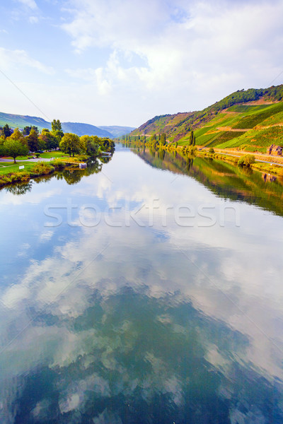 vineyards at the hills of the romantic river Moselle  edge in su Stock photo © meinzahn