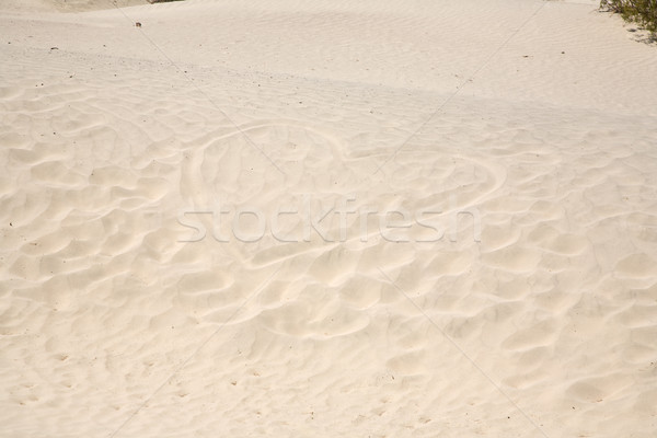 heart in the dunes, Love symbol Stock photo © meinzahn