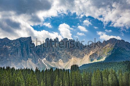 
Lake with mountain forest landscape, Lago di Carezza Stock photo © meinzahn