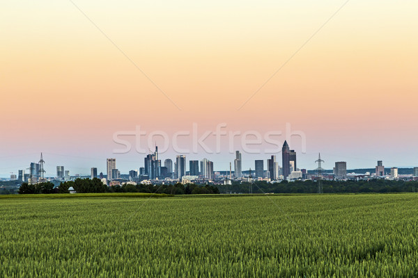 Panoramic view to Frankfurt am Main in horizon Stock photo © meinzahn