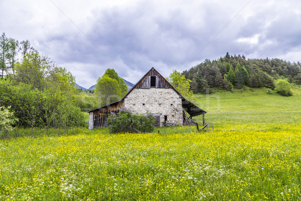 meadow with hut near le Vernet at col Mirabeau Stock photo © meinzahn