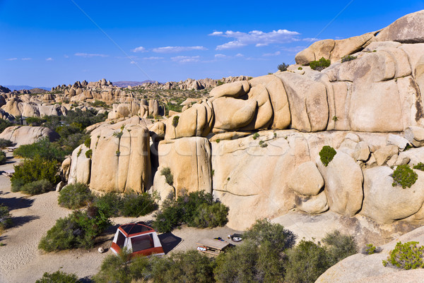 scenic rocks in Joshua Tree National Park  in Hidden valley Stock photo © meinzahn