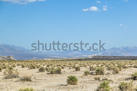 desert landscape in the death valley without people Stock photo © meinzahn