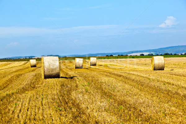 Stock photo: bale of straw on field 