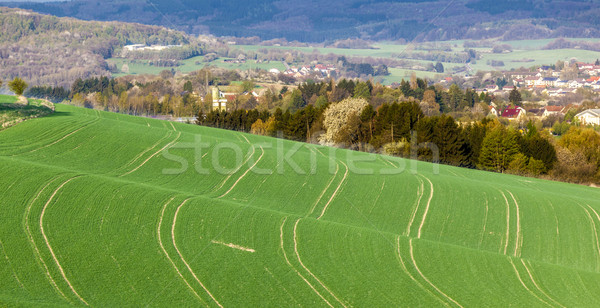 Lines and waves in detail look at the fields Stock photo © meinzahn