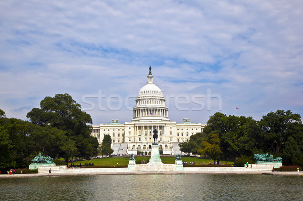 the Capitol in Washington Stock photo © meinzahn