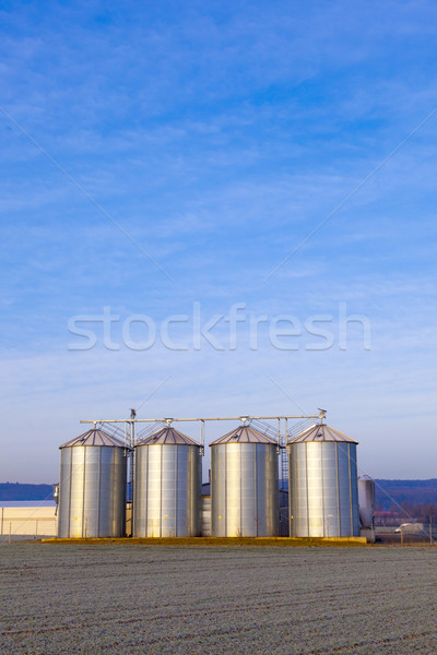 field in harvest with silo Stock photo © meinzahn