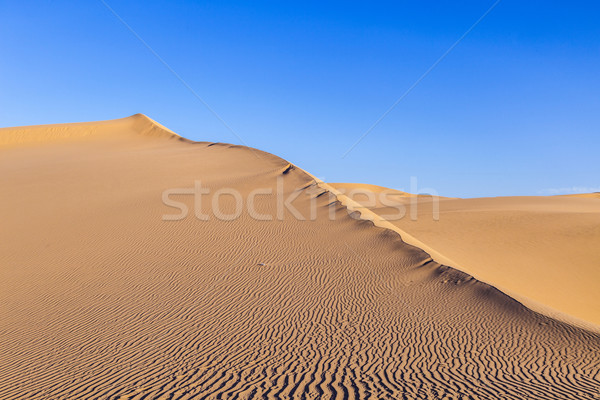 Stock photo:  sand dune in sunrise in the desert