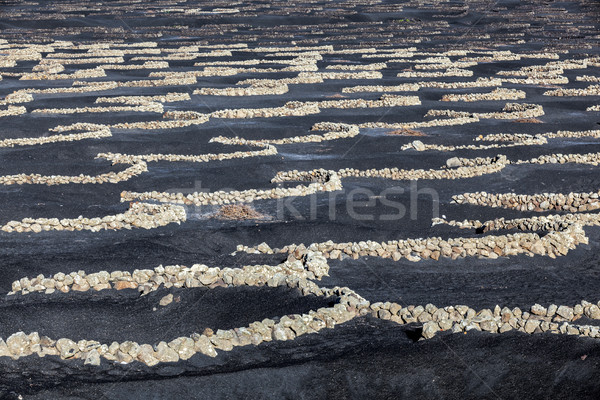 La vulcanic sol faimos perete natură Imagine de stoc © meinzahn