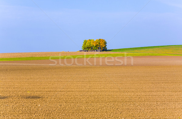 beautiful landscape with acre  Stock photo © meinzahn