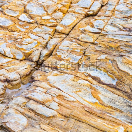 beautiful pattern in Stone at the coast  Stock photo © meinzahn