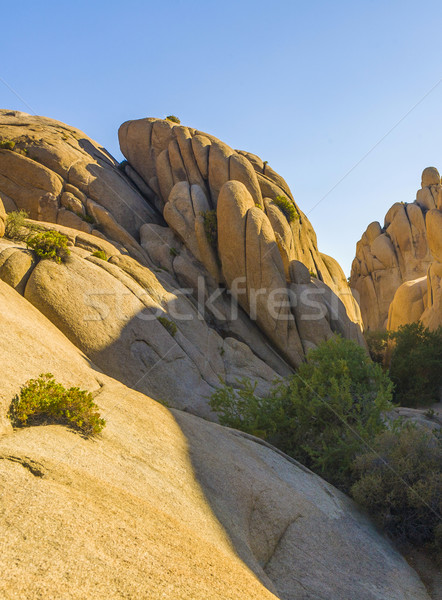 scenic Jumbo rock in Joshua Tree National Park Stock photo © meinzahn