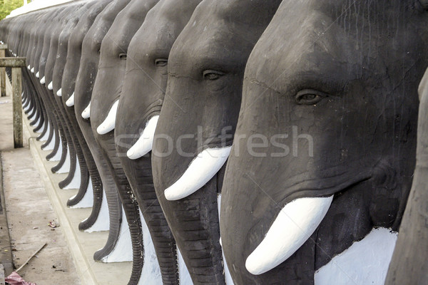 Słoń Sri Lanka rząd zwierząt asia religii Zdjęcia stock © meinzahn