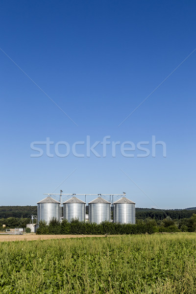 four silver silos in field under   blue sky Stock photo © meinzahn